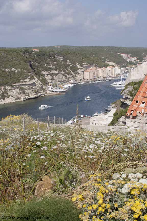 w-Bonifacio2649_panorama