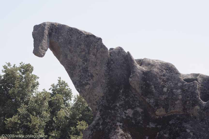 w-Filatosa-dinosaure_2841