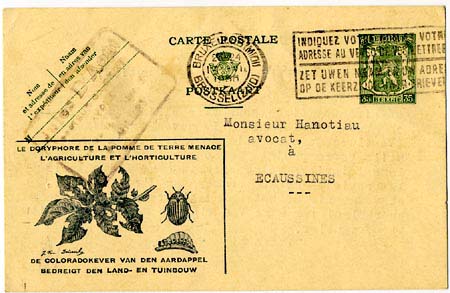 Publ_35cDoryphore