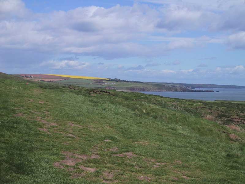 Coastal-landscape107