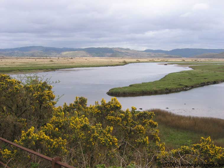 w1345_Bellanoch