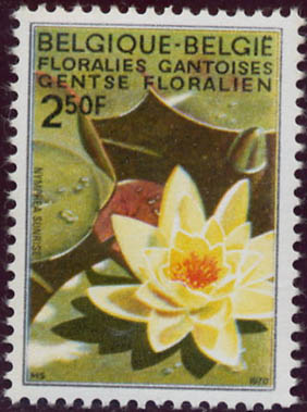 1524 nymphea