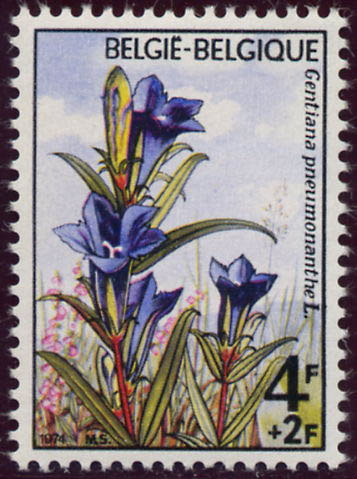 1738 Gentiane