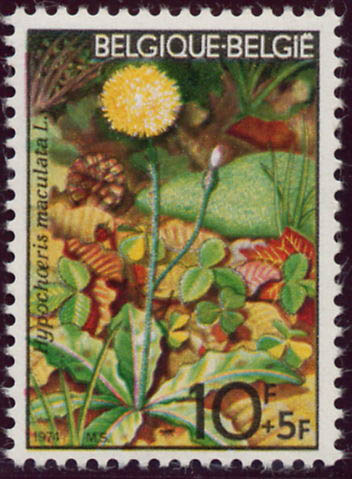 1741 Porchelle