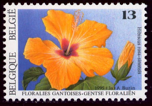 2589 Hibiscus