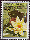 1524 nymphea