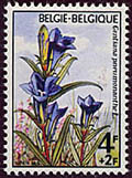1738 Gentiane pneumonanthe