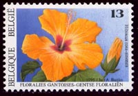 2589 Hibiscus