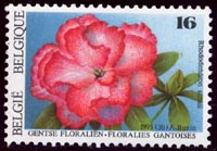 2590 Rhododendron