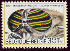 Taon des boeufs
