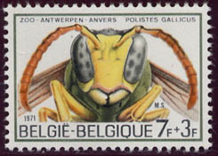 Poliste fran&ccedil;aise