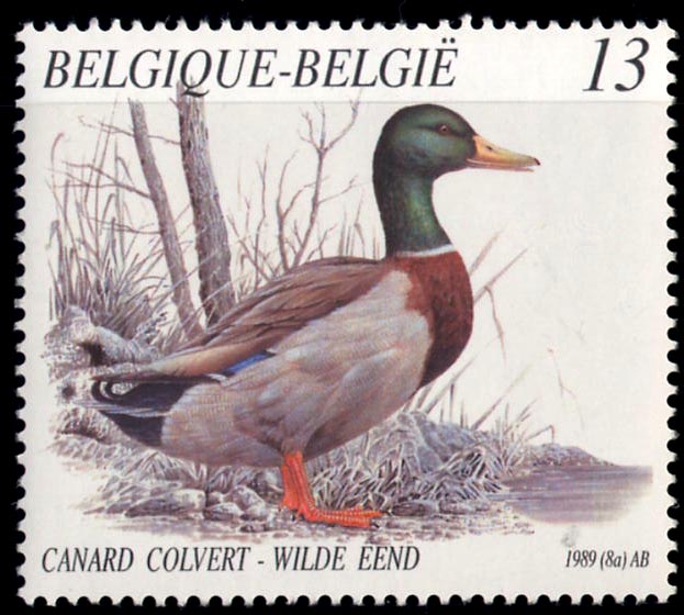 2332 canard colvert