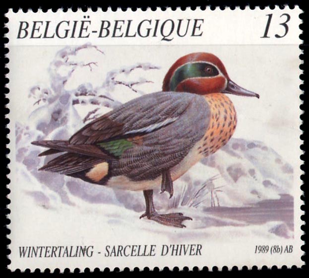 2333 sarcelle