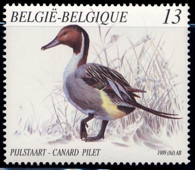 2335 canard pilet