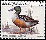 2334 canard souchet