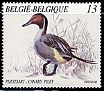 2335 canard pilet