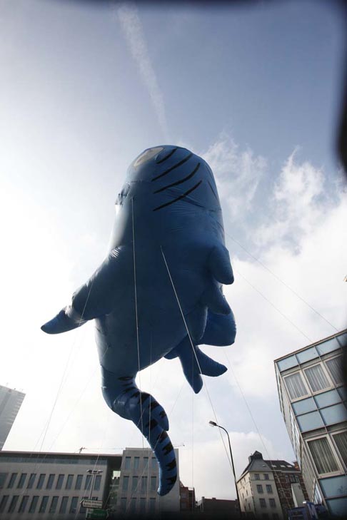 BXL-BD-Ballons09_662web