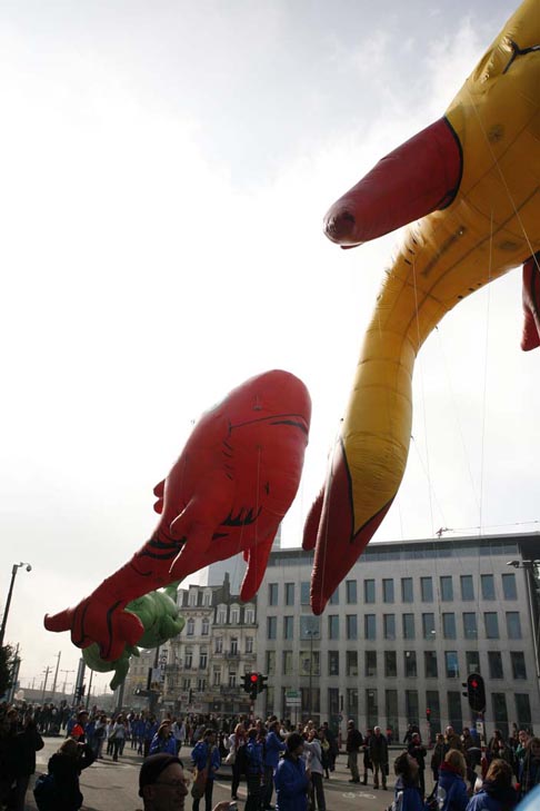 BXL-BD-Ballons09_664web
