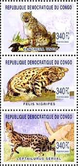 215456=9E80