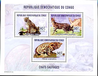 BF252=18E50