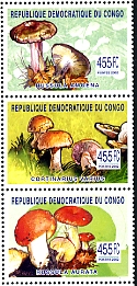 BF268=18E50
