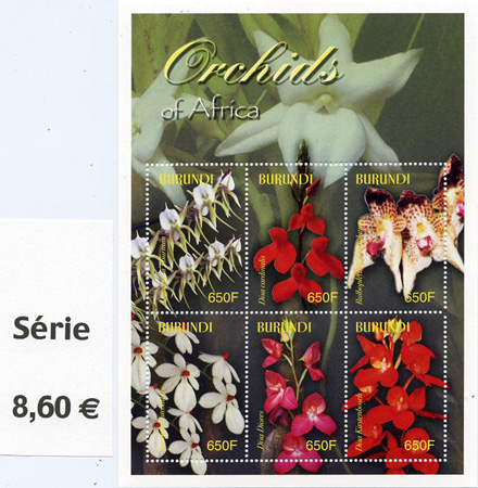 BUR-04-orchids
