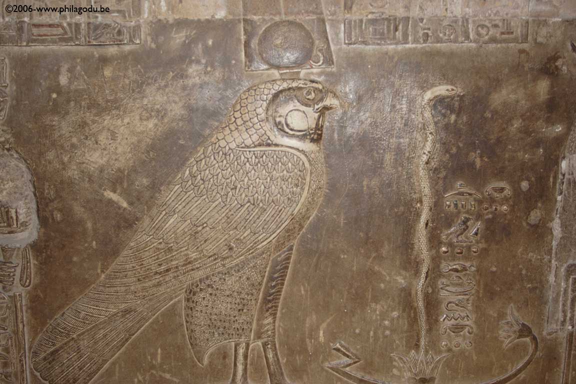 Dendera-crypte-faucon52