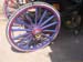 Luxor-roue-caleche43
