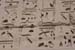 Lxr-Habu-tpl-hierogly_84