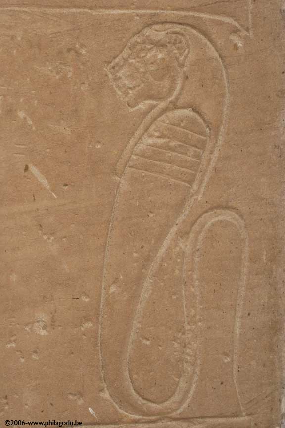 LNsr-Wadi_es_S-Mouth_64
