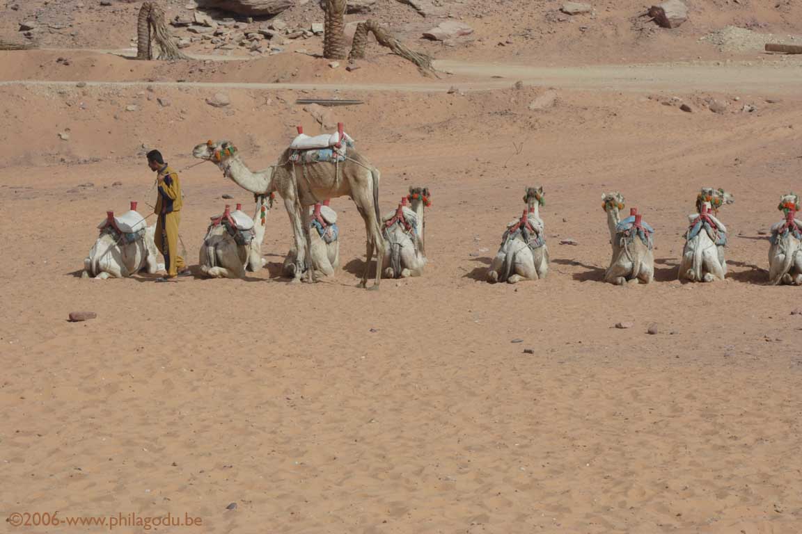 Wadi_es_Seboua-Stationcham_42