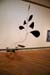 w-9832-Calder