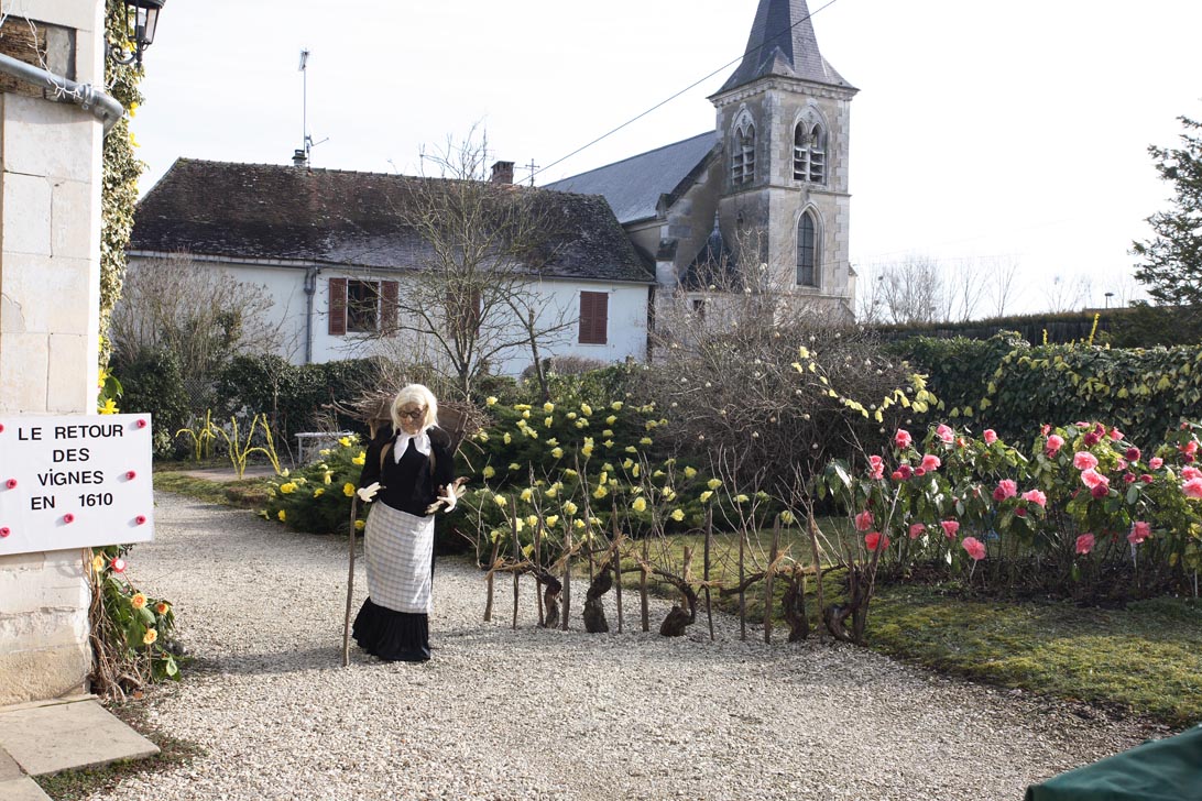 w_118-retour_Vignes