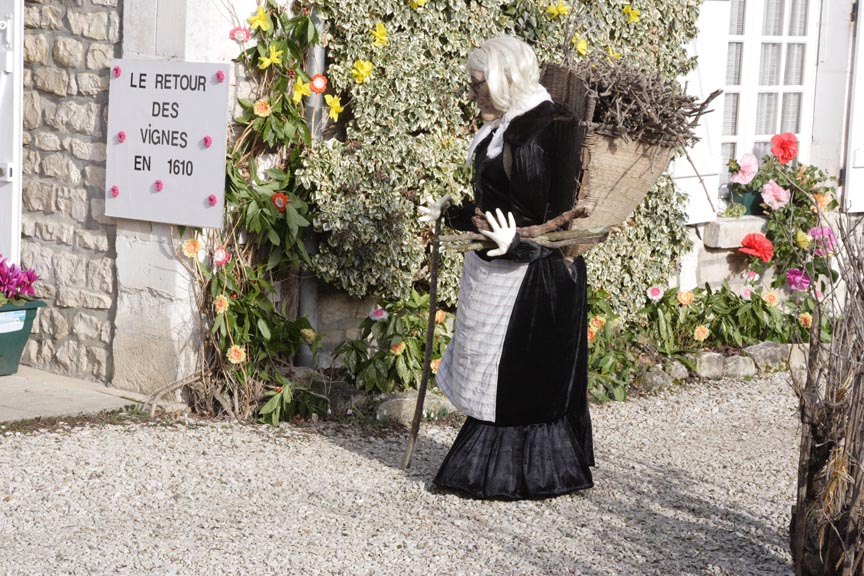 w_119-det-retour_Vignes
