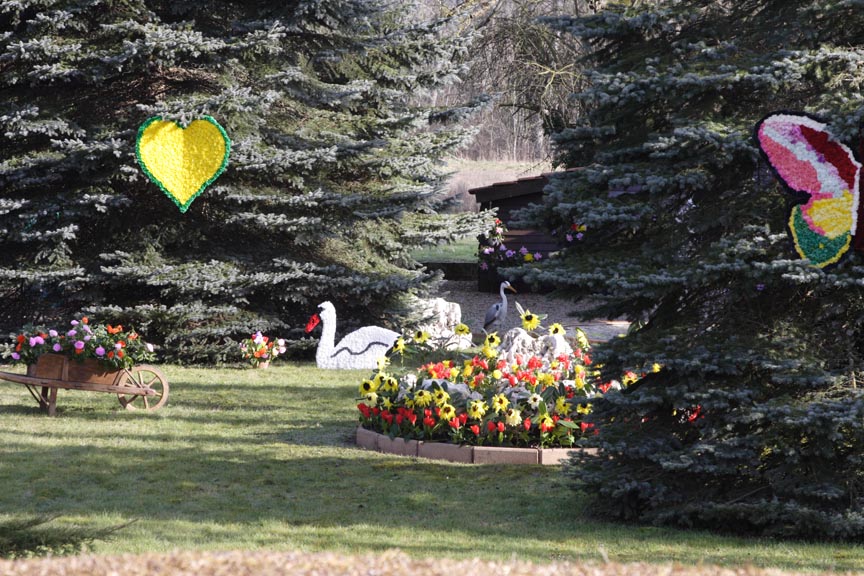 w_194-jardin-cygne