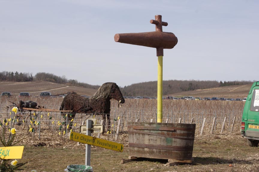 w_214-vigne-cru