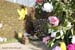 w_184-fleurs-decor