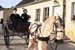 w_215-caleche