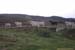 w-Highland_sheeps_3016