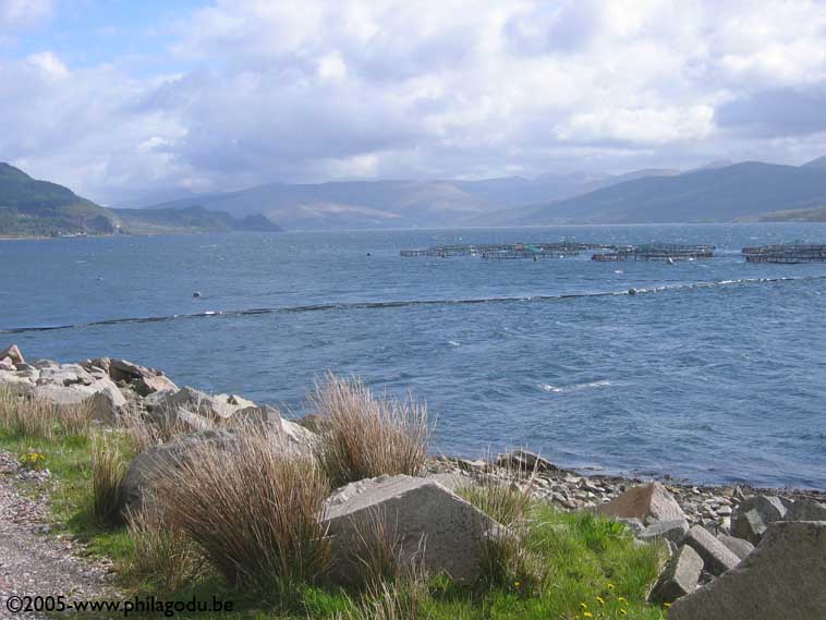 w1338_Inveraray-loch