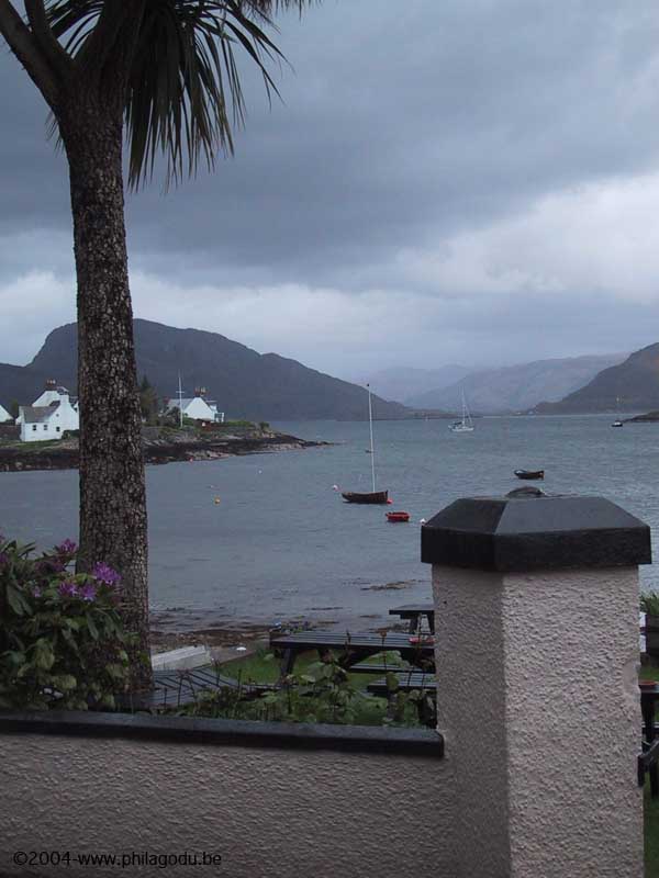 w1505_Plockton-Palmtree-84