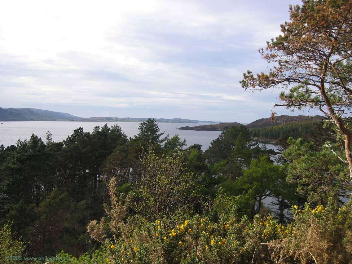 w1573_Inverewe