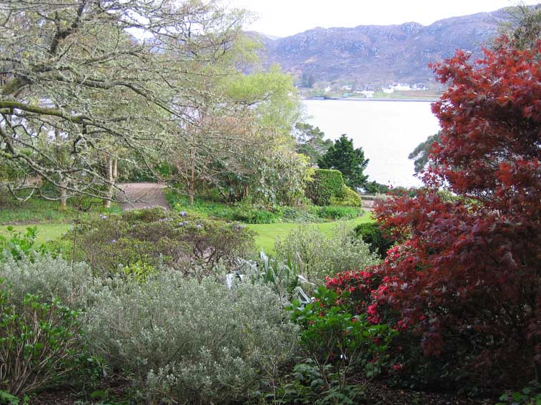 w1575_Inverewe_bot-garden