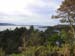 w1573_Inverewe