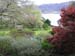 w1575_Inverewe_bot-garden