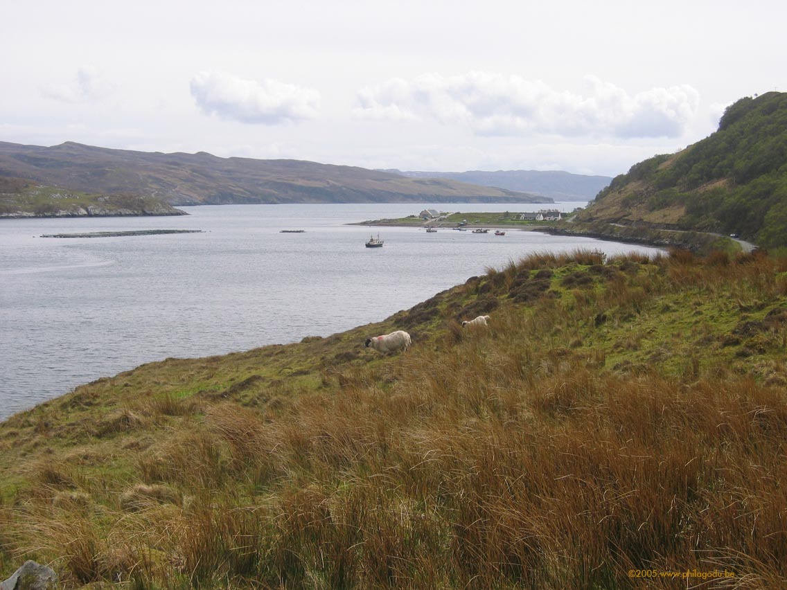 w1412_Skye_B8083