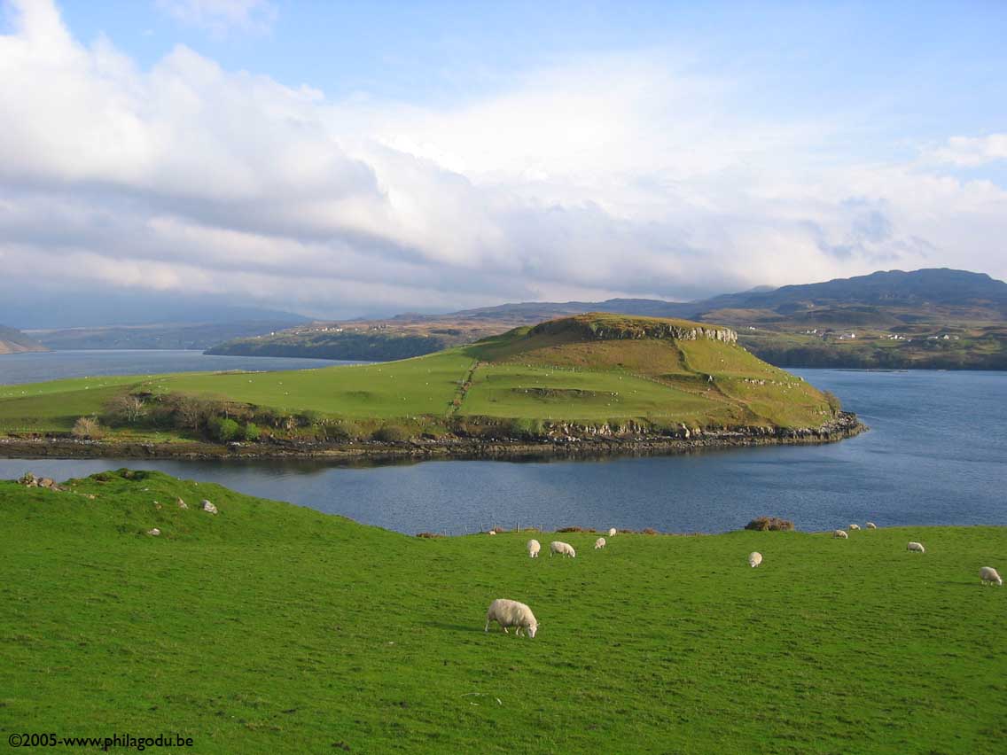 w1499_skye_A863