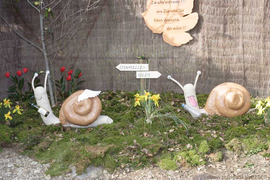 w14-decor-escargots_69