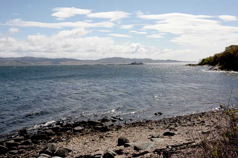 w-scot_7027--face_Arran - copie
