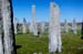 w-scot_7250-7754-harris-site_paleolitique
